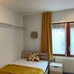 Rent 1 bedroom apartment in Eindhoven