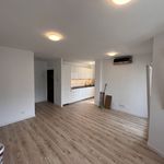 Rent 3 bedroom apartment of 80 m² in Málaga Centro