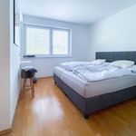Rent 2 bedroom apartment of 48 m² in Leonding