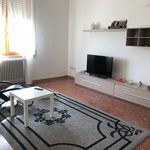Rent 4 bedroom apartment of 70 m² in Pontedera