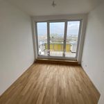 Rent 4 bedroom apartment of 71 m² in Vienna