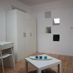 Rent 8 bedroom apartment in Gdańsk