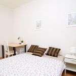 Rent 6 bedroom apartment in Praha