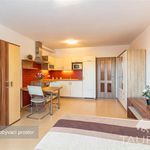 Rent 1 bedroom apartment of 323 m² in Plzeň