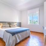 Alquilar 5 dormitorio apartamento en Palma