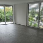 Rent 4 bedroom apartment in Brugg