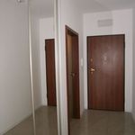 Rent 1 bedroom apartment of 36 m² in Poznań