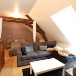 Rent 2 bedroom apartment of 44 m² in Chaingy