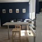 Rent 1 bedroom apartment of 20 m² in Lyon 8e Arrondissement