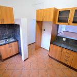 Rent 5 bedroom apartment of 422 m² in City of Tshwane