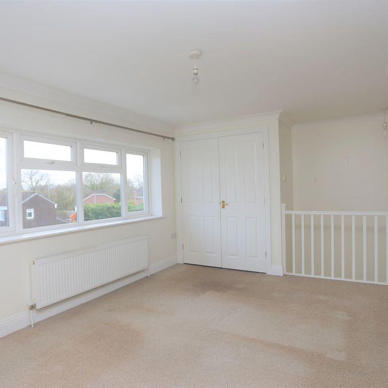 1 room apartment to let in Southampton Bishop's Waltham