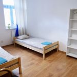 Rent 1 bedroom apartment of 55 m² in Teplice
