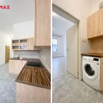 Rent 1 bedroom apartment of 45 m² in Krupka