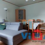 Wynajmij 7 sypialnię dom z 220 m² w Zielona Góra