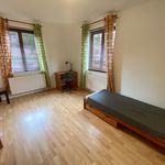 Rent 2 bedroom apartment of 44 m² in Velké Přílepy