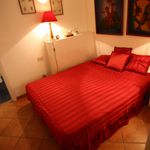 Rent 1 bedroom apartment of 25 m² in florence