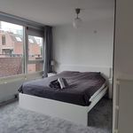 Rent 3 bedroom apartment of 110 m² in Rotterdam