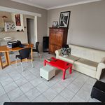 Rent 3 bedroom apartment of 65 m² in Albi