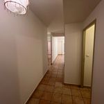 Rent 4 bedroom apartment of 76 m² in CASTELNAUDARYT
