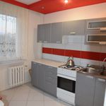Rent 2 bedroom apartment of 49 m² in Lublin