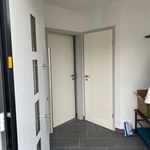 Rent 4 bedroom apartment of 135 m² in Leipzig