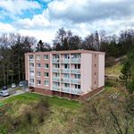 Pronajměte si 1 ložnic/e byt o rozloze 20 m² v Moravský Beroun