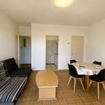 Appartement de 39 m² avec 2 chambre(s) en location à Olliergues