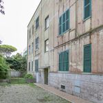 Rent 4 bedroom apartment of 100 m² in Anzio