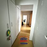Pronajměte si 3 ložnic/e byt o rozloze 78 m² v České Budějovice