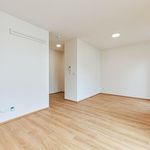 Rent 1 bedroom apartment of 34 m² in Uherské Hradiště