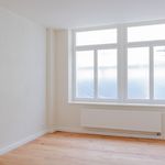 Rent 3 bedroom apartment of 62 m² in Dresden