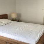 Rent 1 bedroom apartment in Nîmes