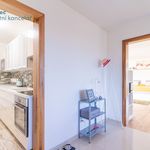 Rent 1 bedroom apartment of 60 m² in Vlasim