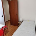 Rent 3 bedroom apartment in Palermo