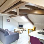 Rent 1 bedroom apartment of 29 m² in Issoire