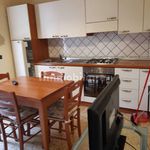 Rent 2 bedroom apartment of 40 m² in Rosignano Marittimo