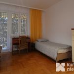 Rent 4 bedroom house of 200 m² in Przemyśl