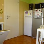 Rent 3 bedroom student apartment of 130 m² in Roma