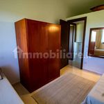 Affitto 3 camera appartamento di 85 m² in Capalbio
