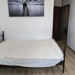 Rent 2 bedroom apartment of 60 m² in Poznan