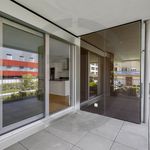 Rent 6 bedroom apartment in Genève