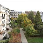 Rent 1 bedroom apartment of 30 m² in La Garenne-Colombes