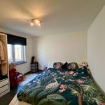  appartement avec 1 chambre(s) en location à Wetteren