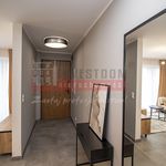 Rent 2 bedroom apartment of 43 m² in Opole