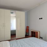 Affitto 1 camera appartamento in Milano