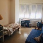 Rent 4 bedroom apartment of 16 m² in Perugia