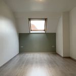 Rent 3 bedroom house of 150 m² in Leuze-en-Hainaut
