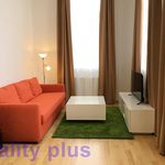 Rent 1 bedroom apartment of 28 m² in Liberec