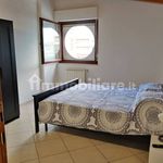 Rent 3 bedroom apartment of 75 m² in Pescara