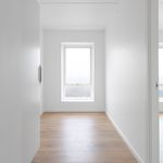 Rent 2 bedroom apartment of 71 m² in Horsens